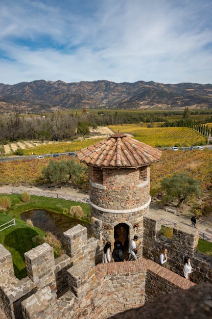 Castello di Brolio castle vineyard view midday