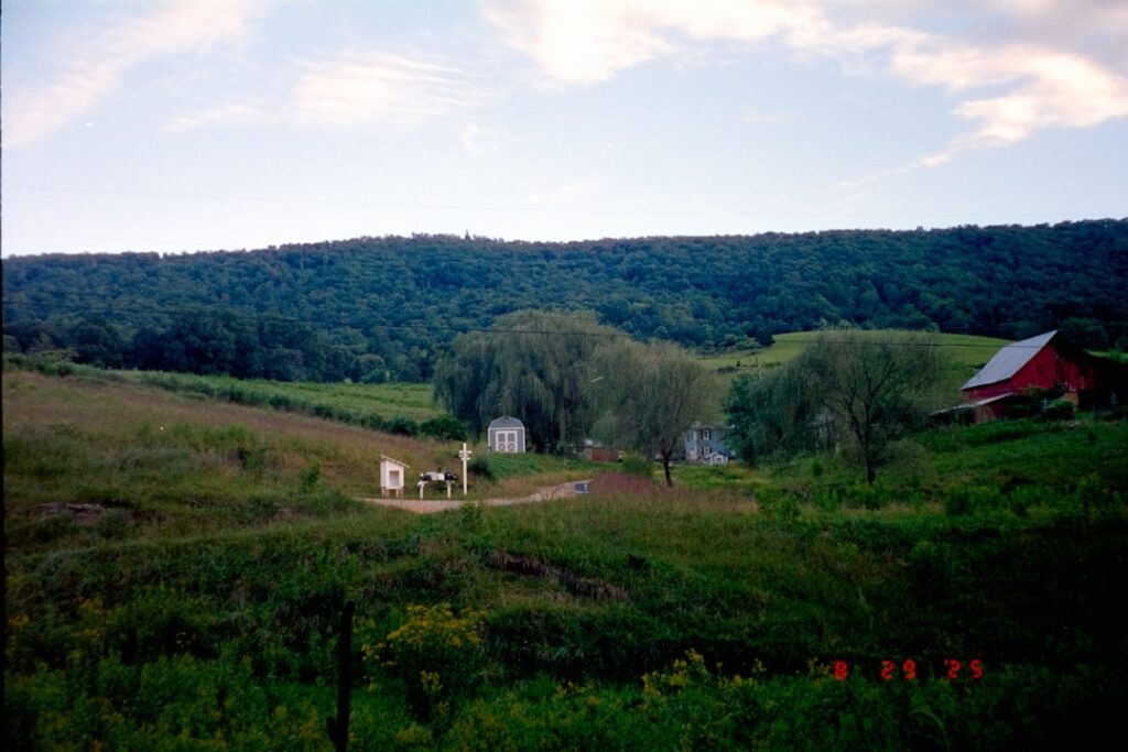 Chianti vineyard rolling hills midday