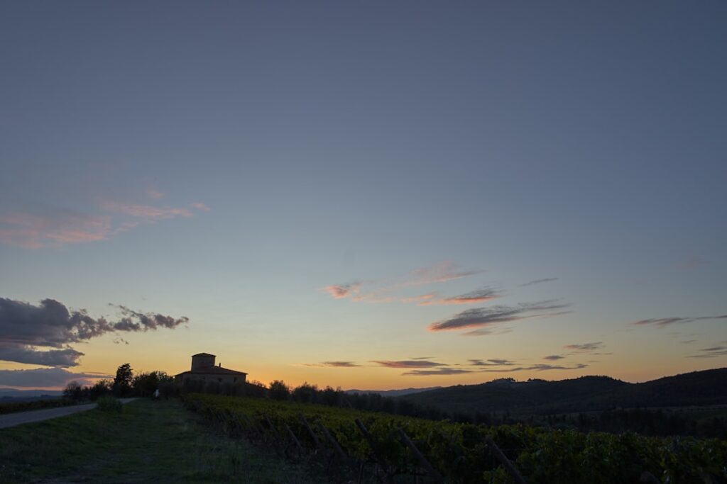 chianti vineyard sunset castello di fonterutoli