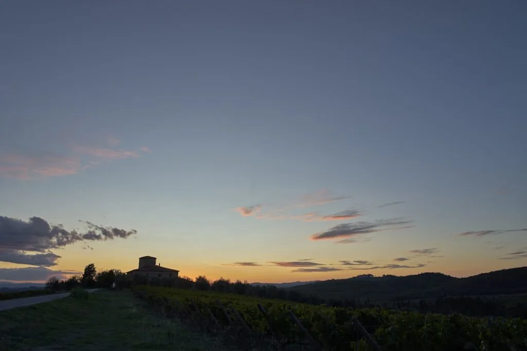 Coucher de soleil sur les collines et vignoble toscan près de Sienne