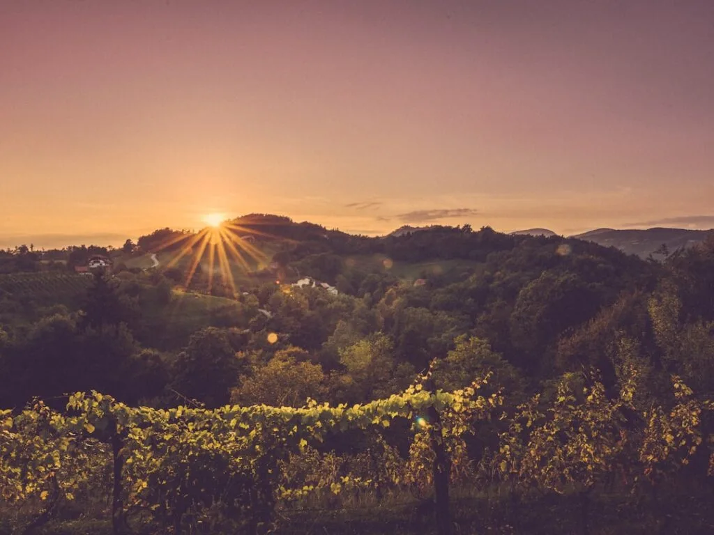 Collines du Chianti près de Sienne au lever du soleil
