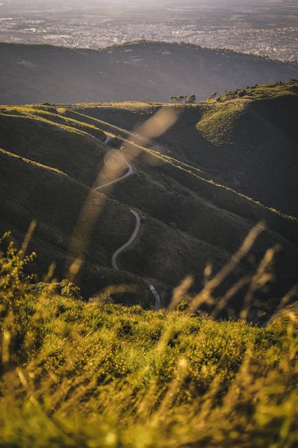 Chianti winding road cypress lined afternoon
