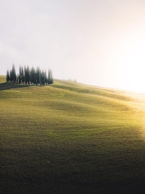 cyclist hill climb Tuscany morning