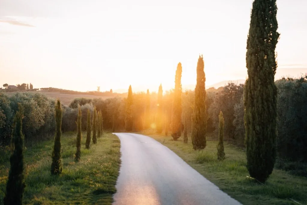 Route bordée de cyprès au coucher de soleil près de Sienne