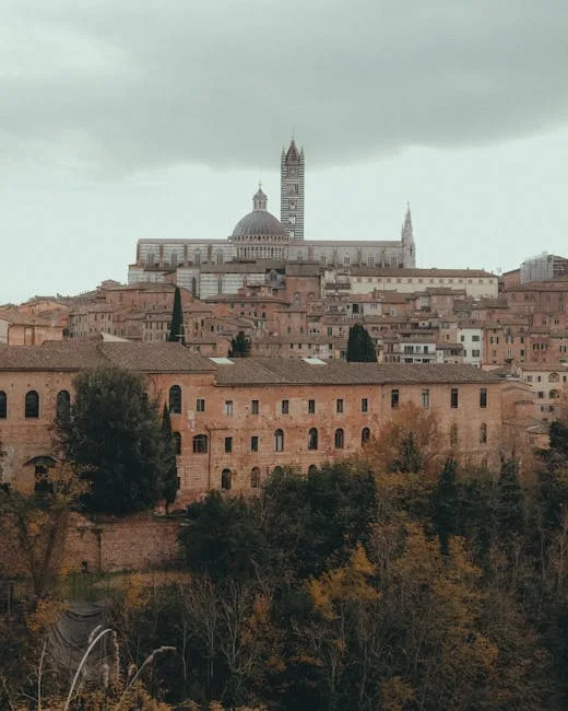 Siena hotel room view medieval rooftops