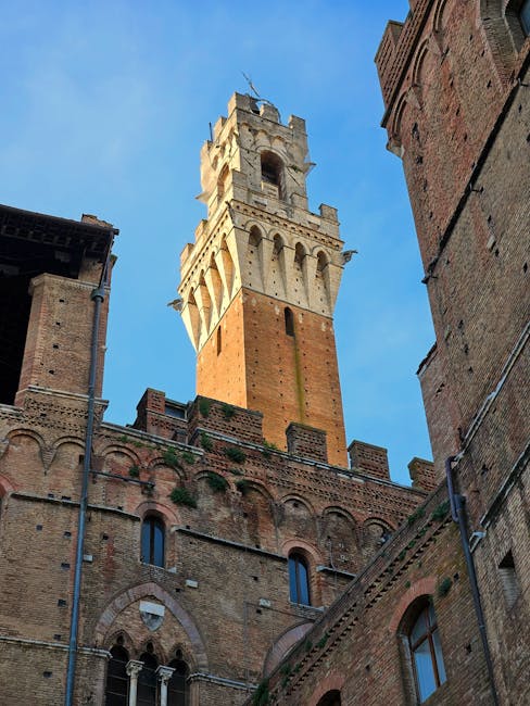 Siena night lights Piazza del Campo