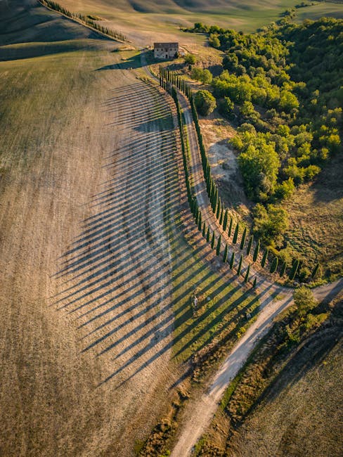 Sunset over Montalcino vineyards golden hour