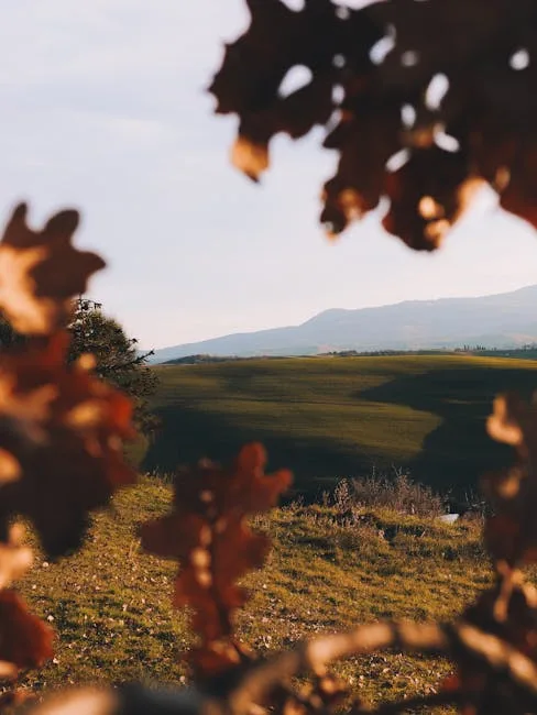 Collines toscanes vues à travers des feuilles d'arbre près de Sienne