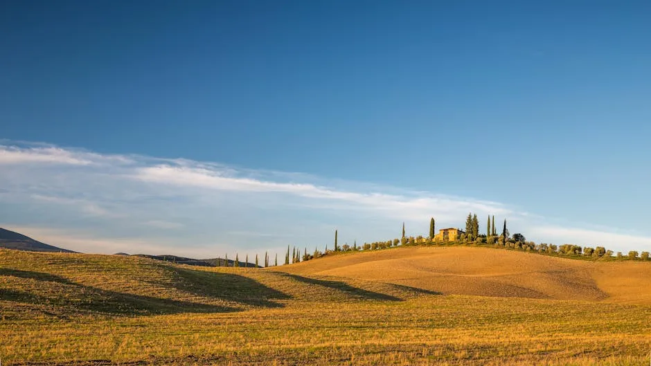 Collines toscanes ondulantes avec cyprès et ferme sur une colline près de Sienne