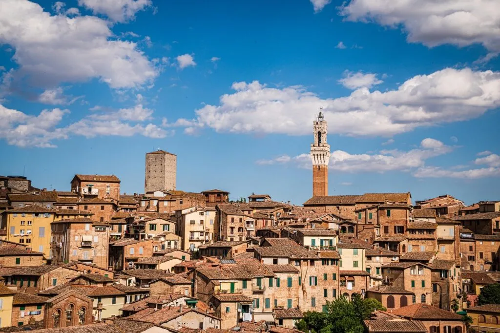 Toits en terre cuite et tour du Palazzo Pubblico à Sienne