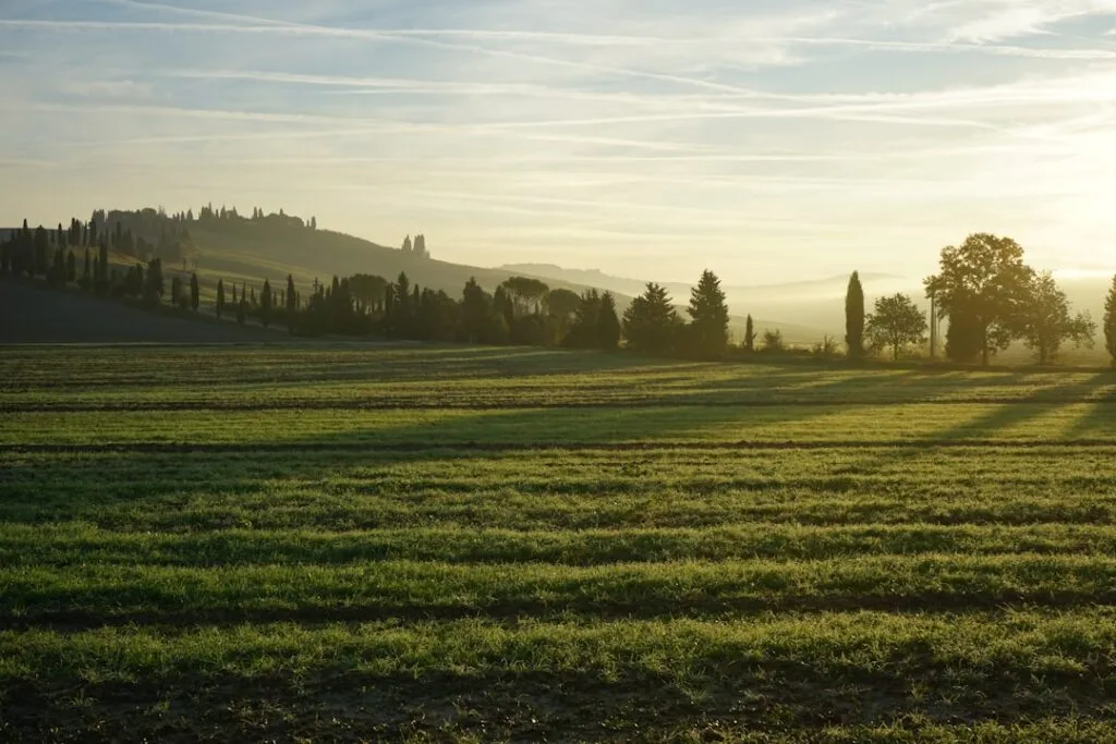 Collines et cyprés du Chianti près de Sienne au lever du soleil