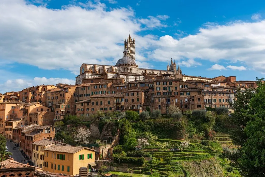 Panorama des maisons et du Duomo de Sienne sur la colline