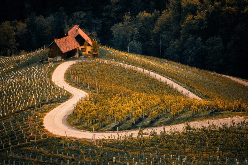 Route sinueuse entre vignes et petite maison dans les collines siennoises.