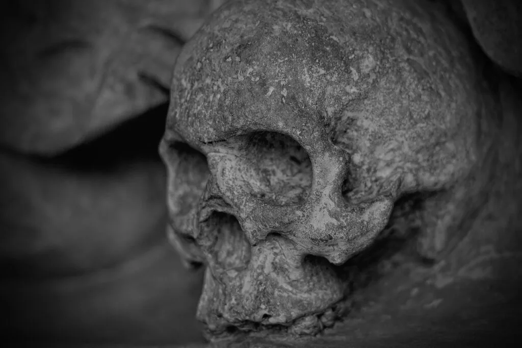 Gros plan sur un crâne sculpté dans le Duomo de Sienne