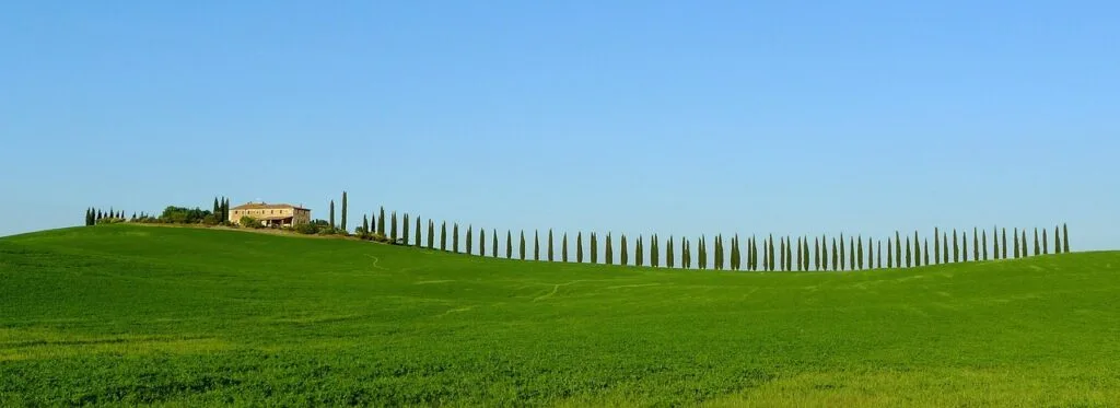 Paysage du Chianti: collines vertes, rangée de cyprès, ferme isolée